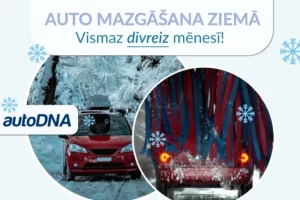 auto-mazgasana-ziema