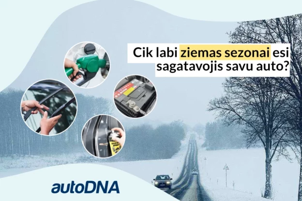 auto-ziemai