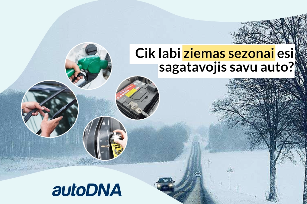 auto-ziemai