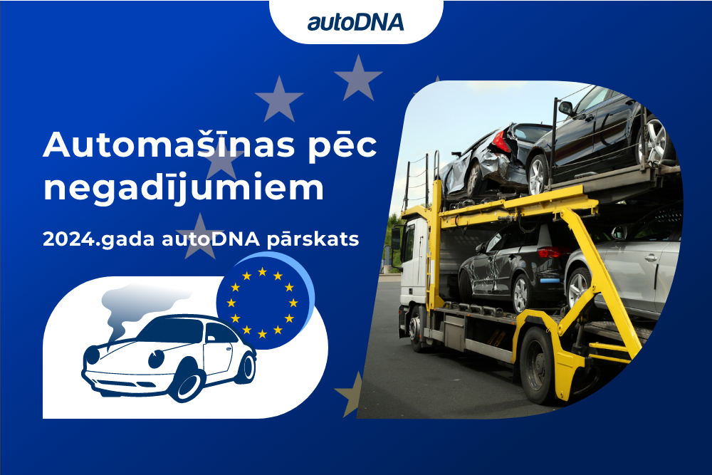 bojati-auto-autodna